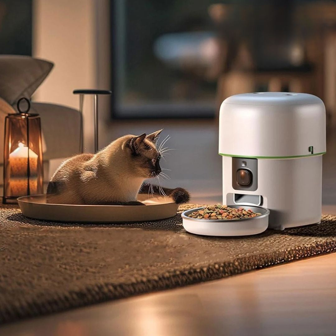 distributeur de coquettes blanc