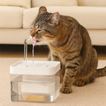 Fontaine a eau chat​