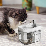 Fontaine a eau chat