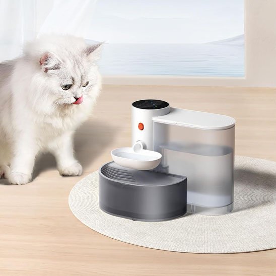 Fontaine a eau chat