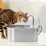 Fontaine a eau Chat