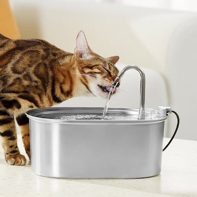 Fontaine a eau Chat