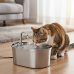Fontaine a eau Chat