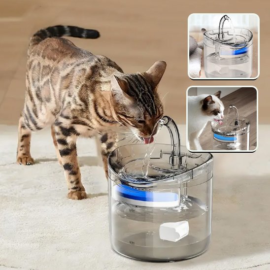Fontaine a eau chat