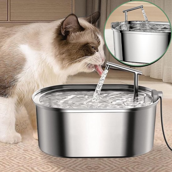 Fontaine a eau chat