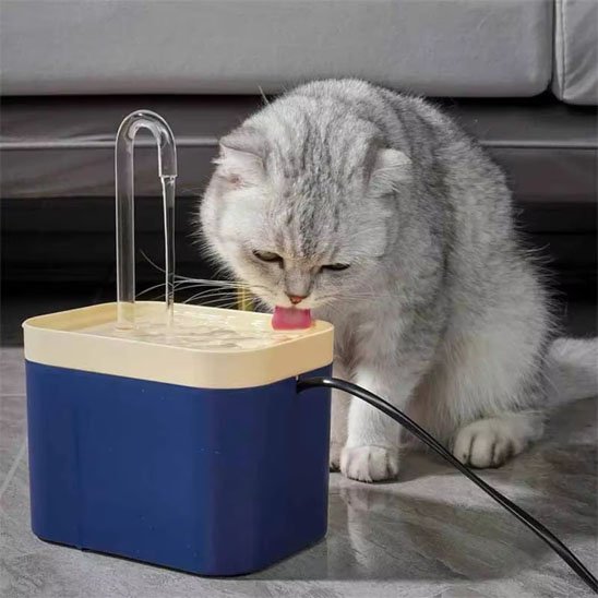 Fontaine eau chat