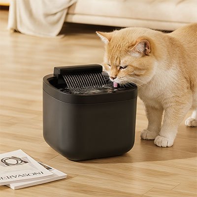 Fontaine eau chat