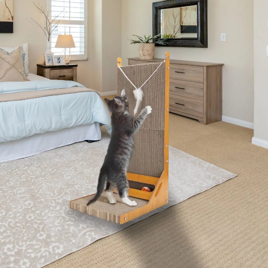 Griffoir carton chat Zen'Griff™ - Chatelier Paris