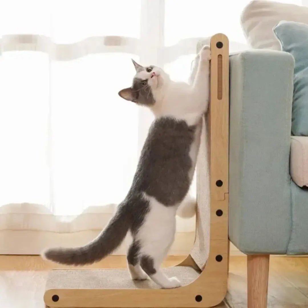 Griffoir carton chat Zen'Griff™ - Chatelier Paris