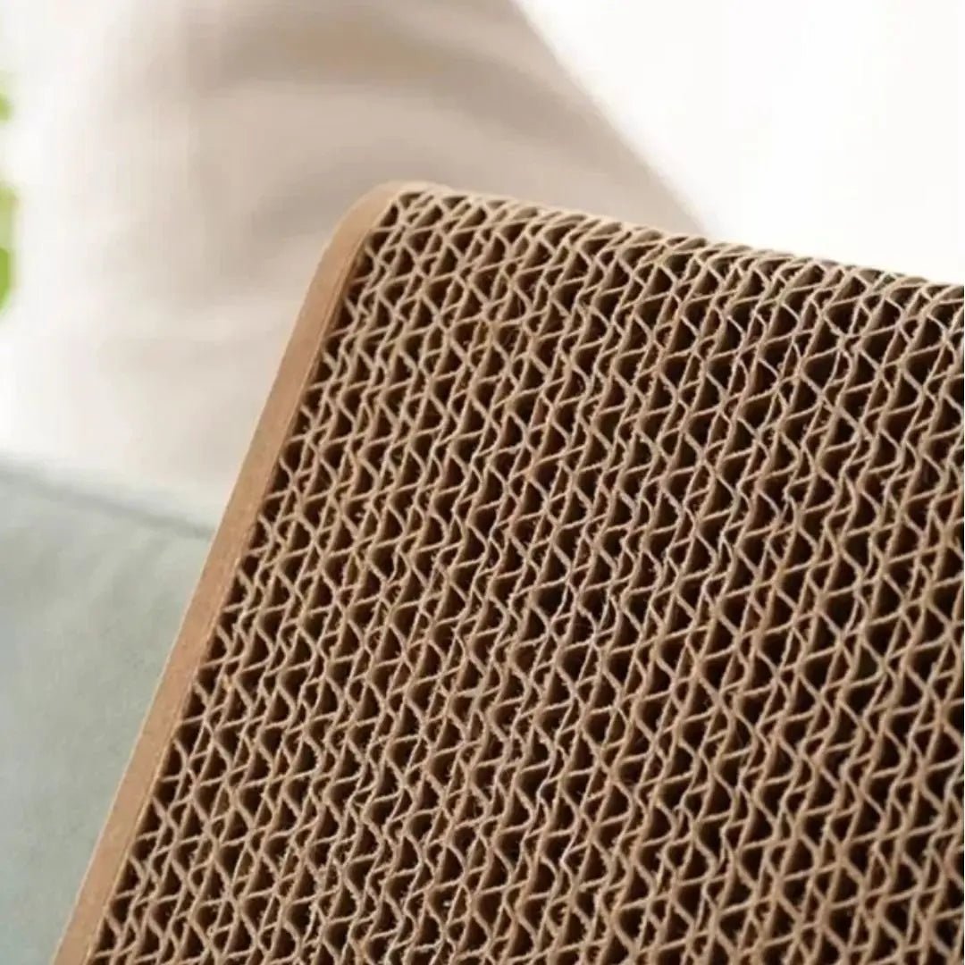 Griffoir carton chat Zen'Griff™ - Chatelier Paris