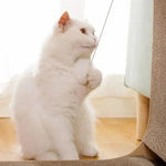 Griffoir carton chat Zen'Griff™ - Chatelier Paris