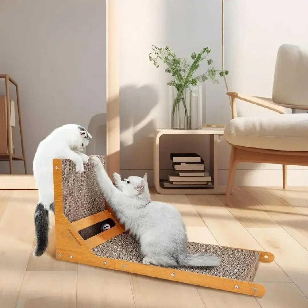 Griffoir carton chat Zen'Griff™ - Chatelier Paris