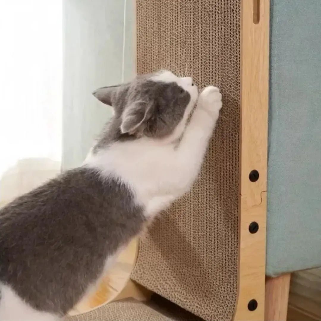 Griffoir carton chat Zen'Griff™ - Chatelier Paris