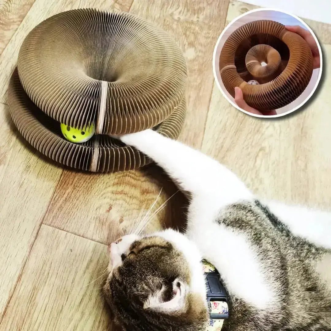 Griffoir chat carton et jouet Play'Griff™ - Chatelier Paris