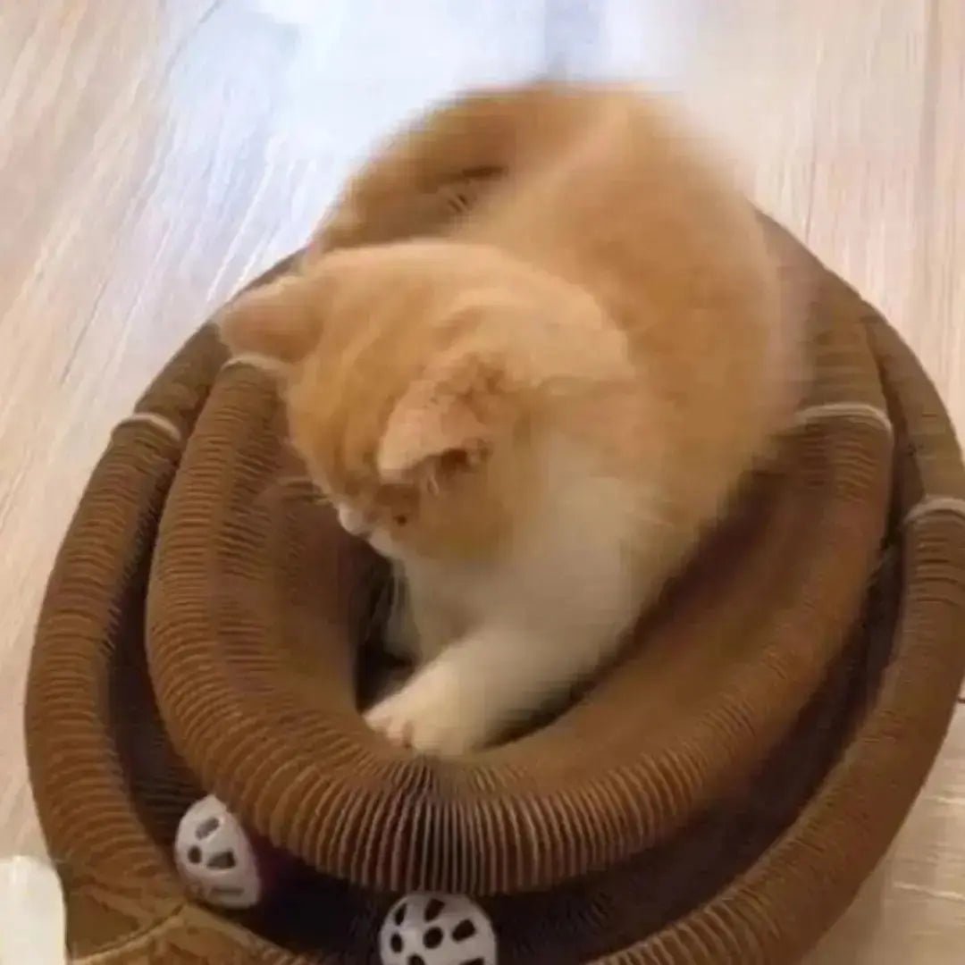 Griffoir chat carton et jouet Play'Griff™ - Chatelier Paris