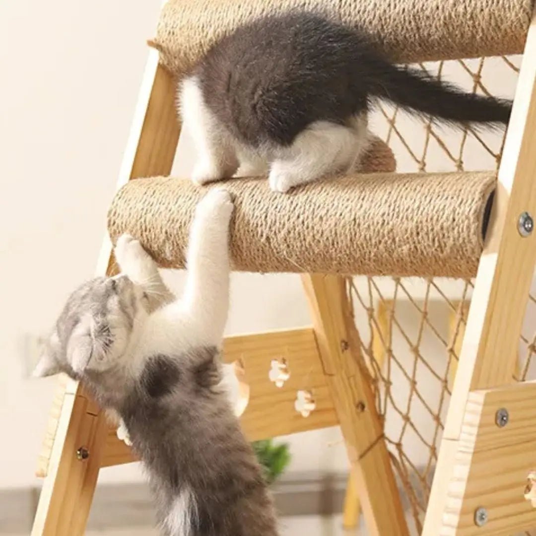 Griffoir chat | Griff'Grimpant™ - Chatelier Paris