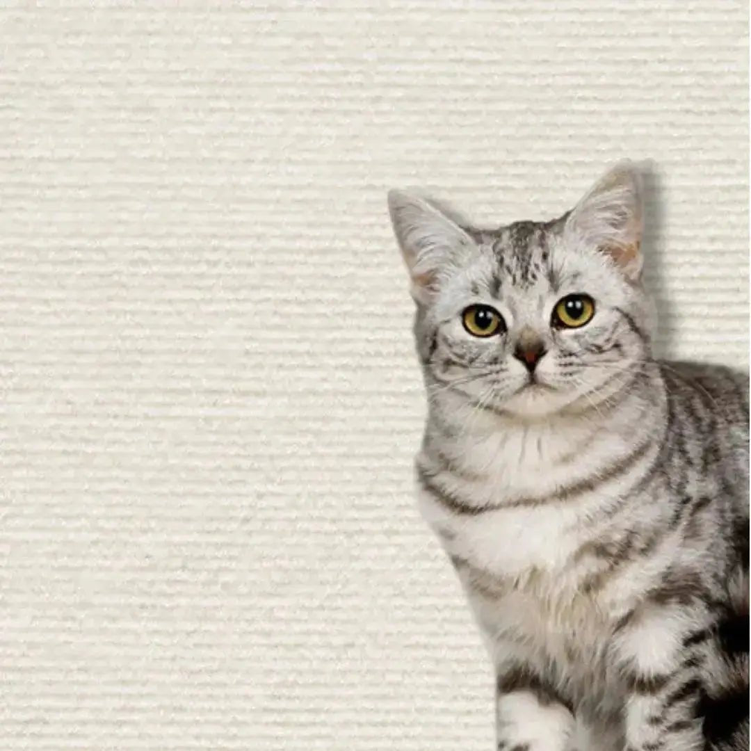 Griffoir Chat protège - meubles (Dimension 60x100cm) Griff'Escalade™ - Chatelier Paris