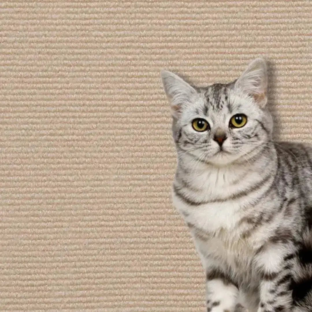 Griffoir Chat protège - meubles (Dimension 60x100cm) Griff'Escalade™ - Chatelier Paris