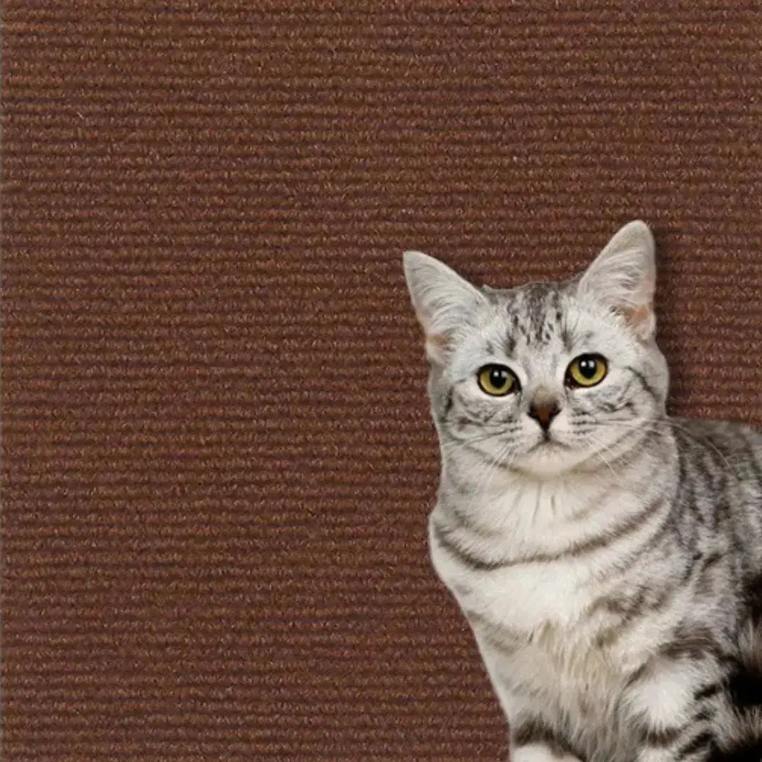 Griffoir Chat protège - meubles (Dimension 60x100cm) Griff'Escalade™ - Chatelier Paris