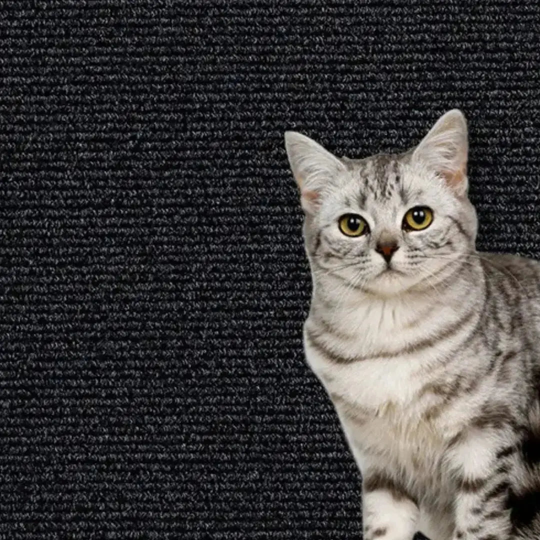 Griffoir Chat protège - meubles (Dimension 60x100cm) Griff'Escalade™ - Chatelier Paris