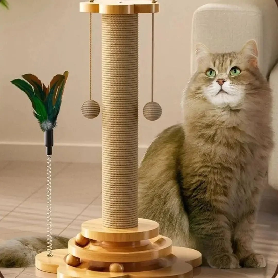 Griffoir pour chat | Griff'Fun™ - Chatelier Paris