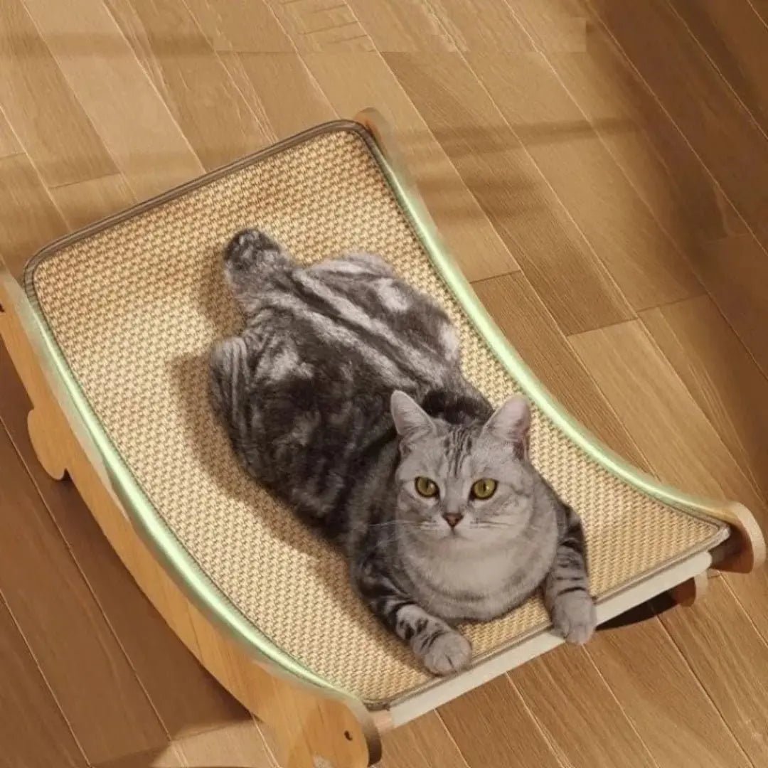 Griffoir pour Chat | Griff'Oassis™ - Chatelier Paris