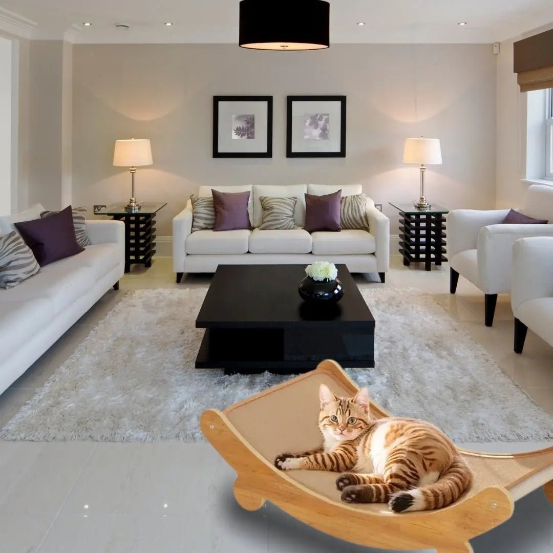 Griffoir pour Chat | Griff'Oassis™ - Chatelier Paris