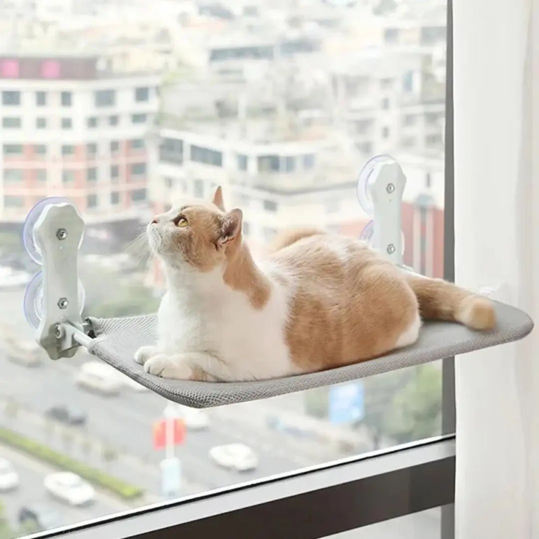 Hamac pour Chat Hamac - Fit™ - Chatelier Paris