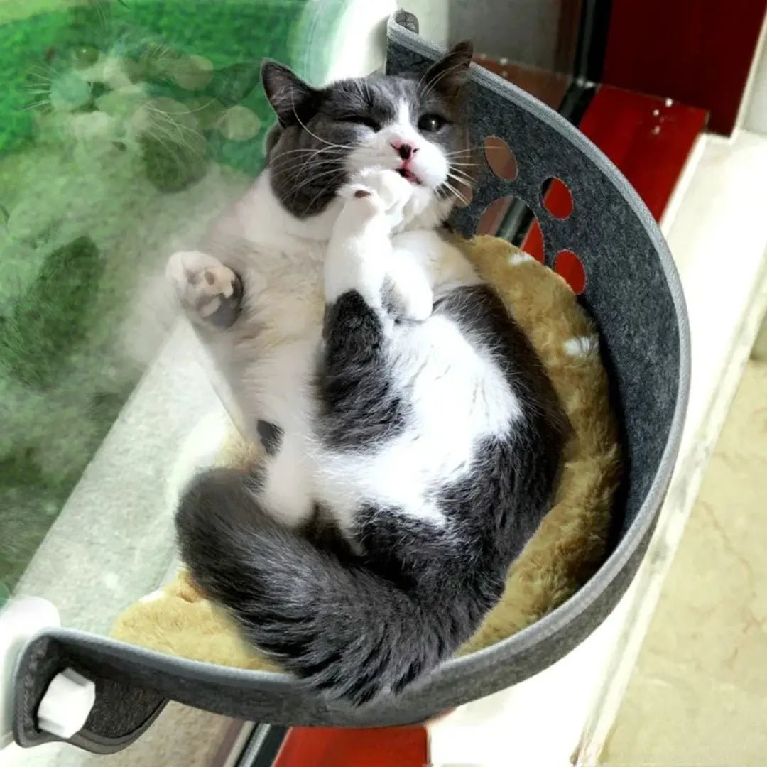 Hamac pour chat Nuage - Douillet™ - Chatelier Paris