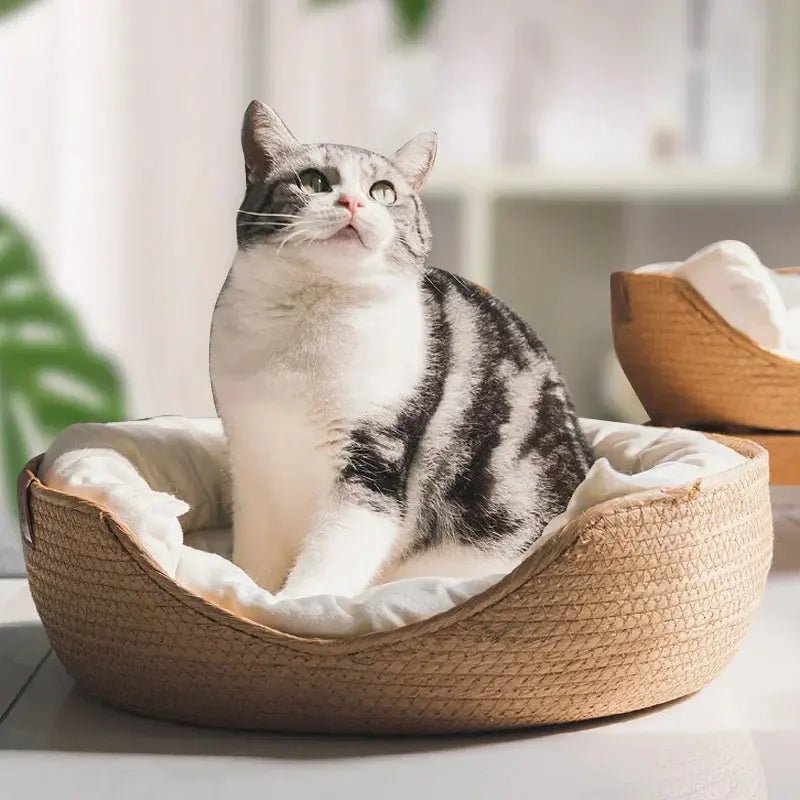 Panier Pour Chat en osier avec coussin Panier - Rêveur™ - Chatelier Paris