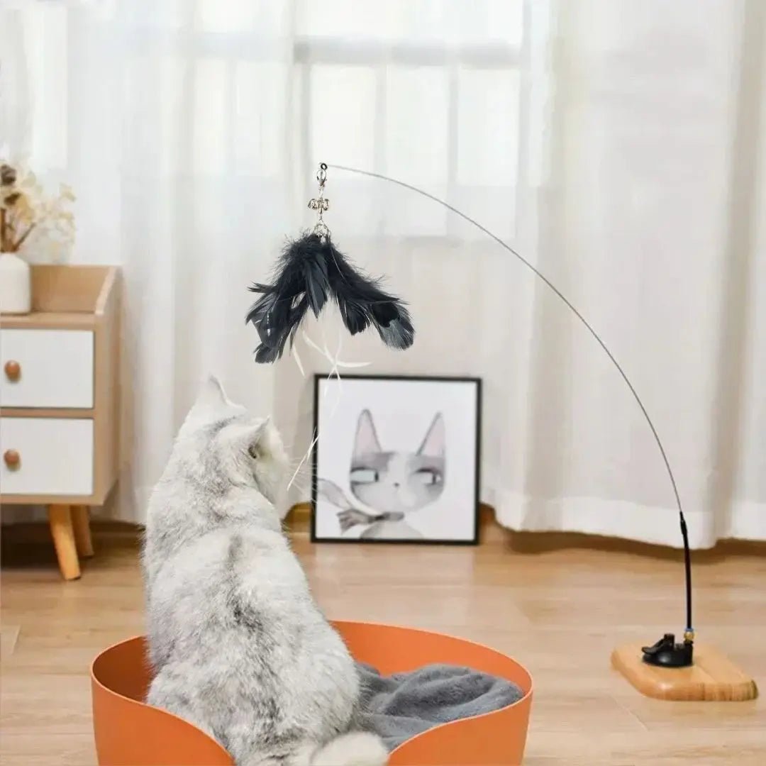Plume jouet avec tige et ventouse Happy - Cat™ - Chatelier Paris