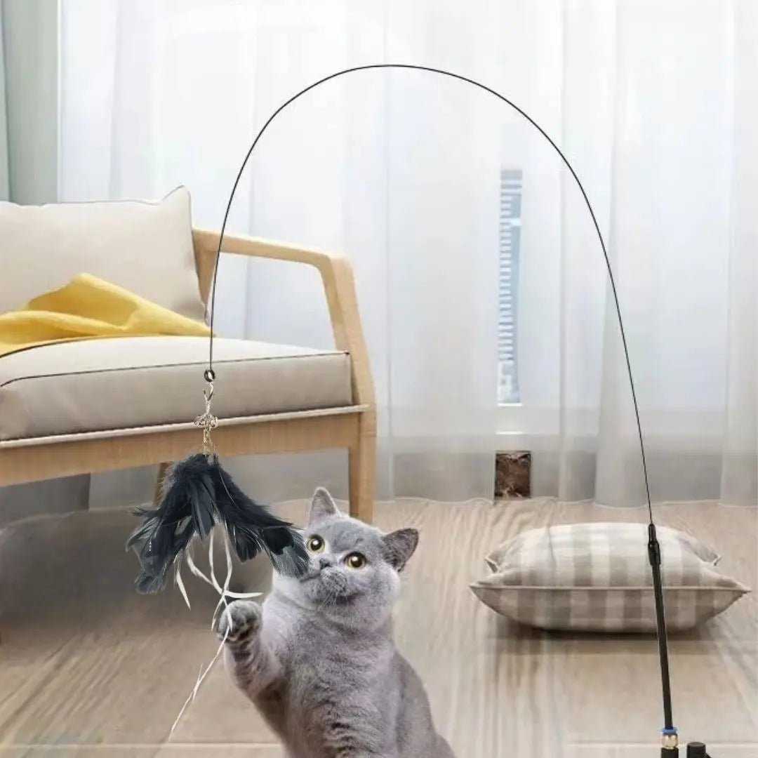 Plume jouet avec tige et ventouse Happy - Cat™ - Chatelier Paris