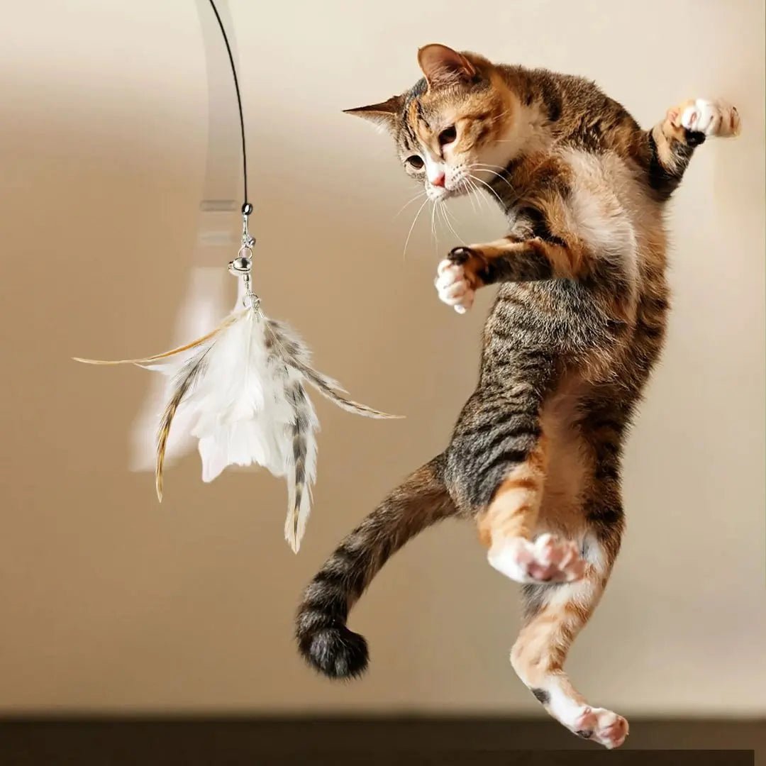 Plume jouet avec tige et ventouse Happy - Cat™ - Chatelier Paris