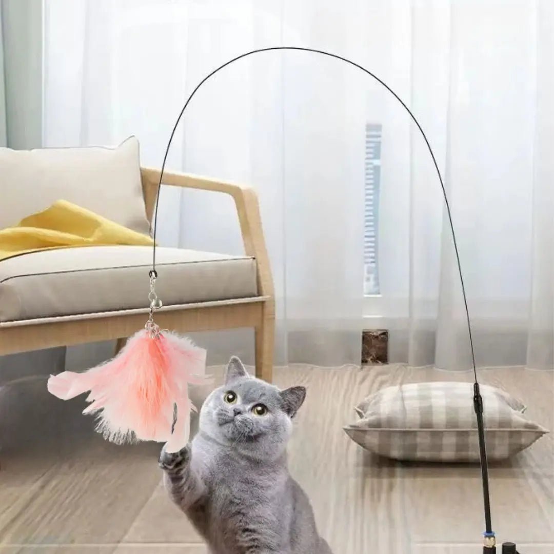 Plume jouet avec tige et ventouse Happy - Cat™ - Chatelier Paris