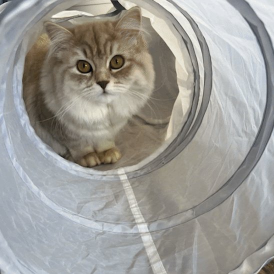 Tunnel chat