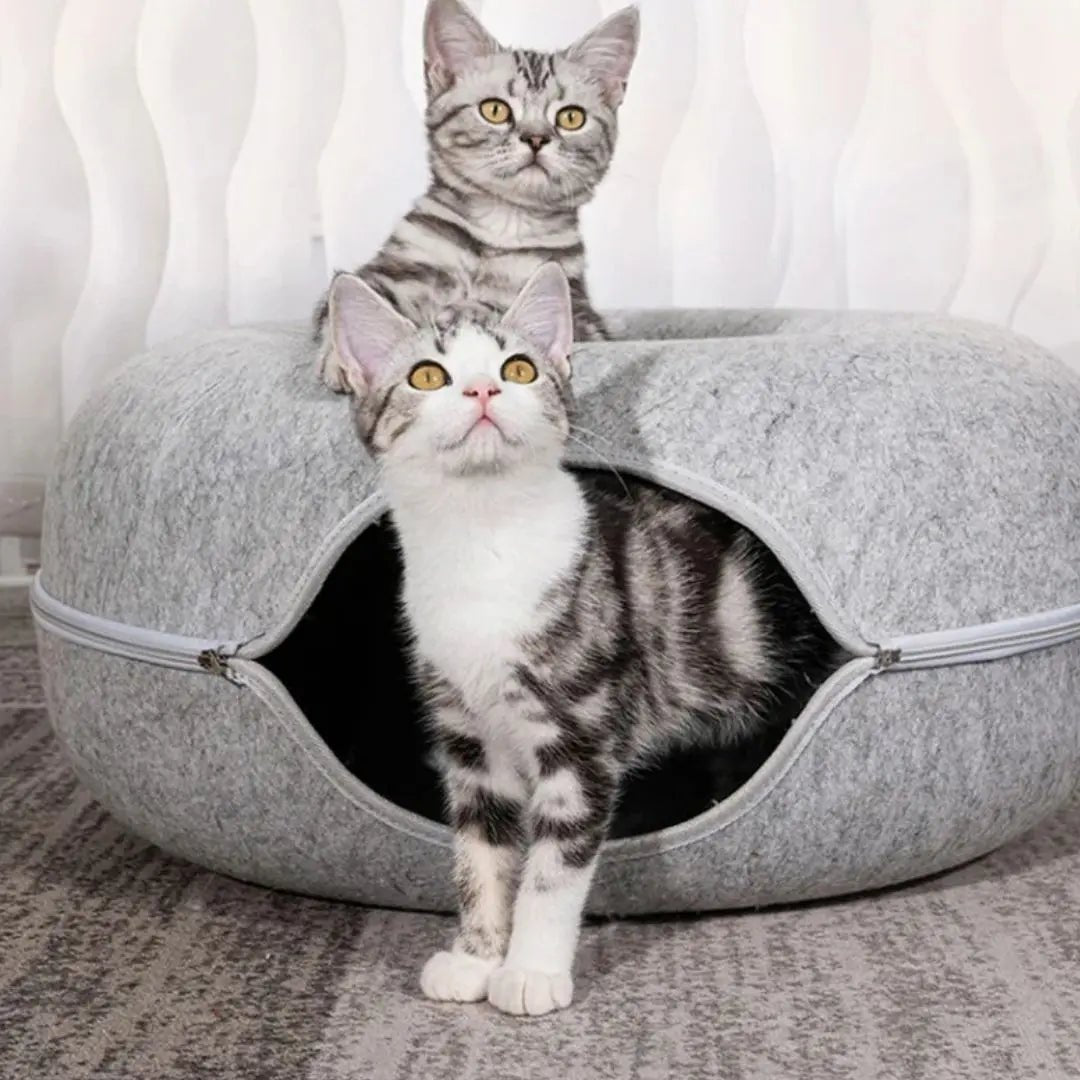 Tunnel pour Chat Nid - Secret™ - Chatelier Paris