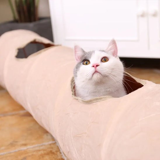 Tunnel pour Chat