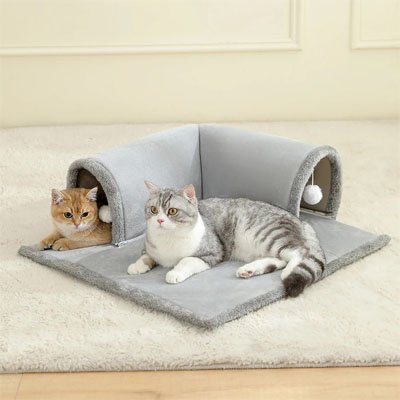 Tunnel pour Chat