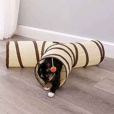 Tunnel pour chat