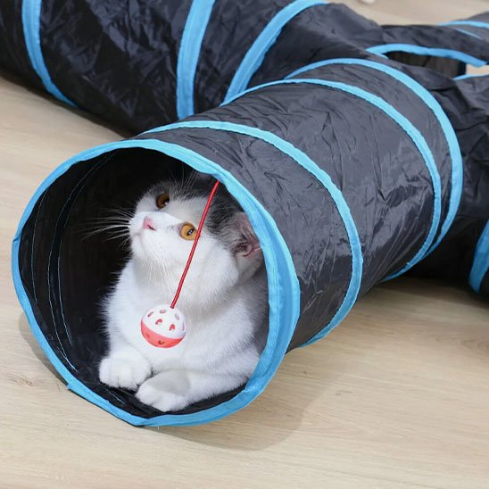 Tunnel pour chat 