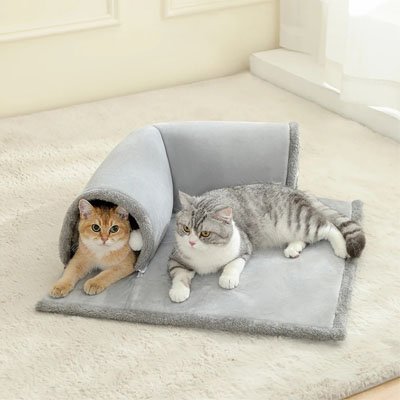 Tunnel pour Chat