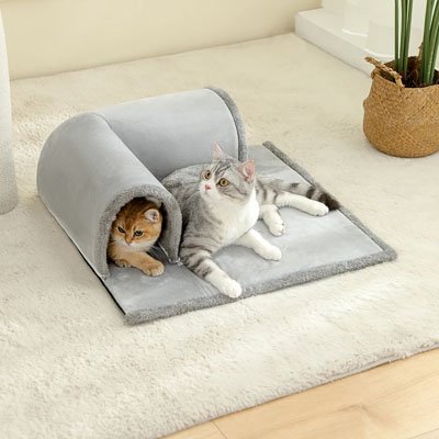 Tunnel pour Chat