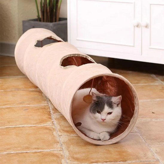 Tunnel pour Chat