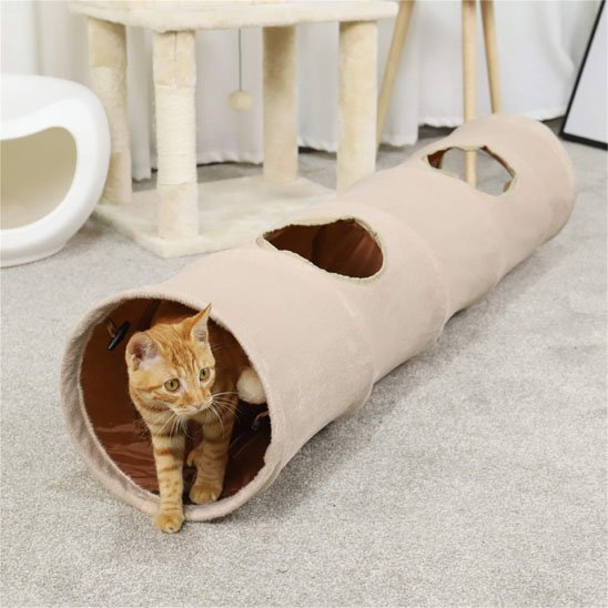 Tunnel pour Chat