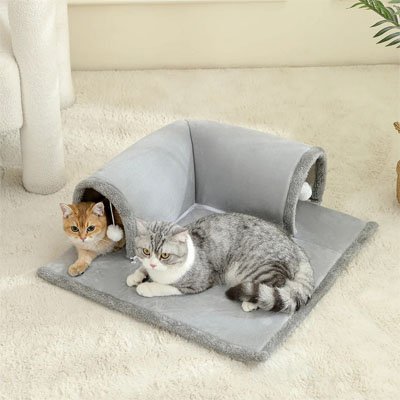 Tunnel pour Chat