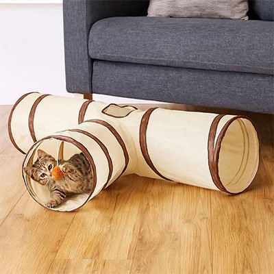 Tunnel pour chat