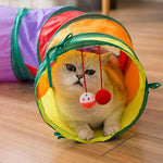 Tunnel pour chat